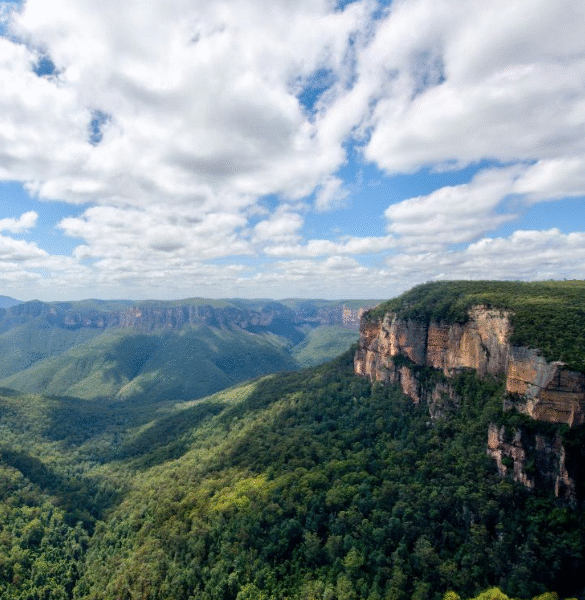 banner tour australia